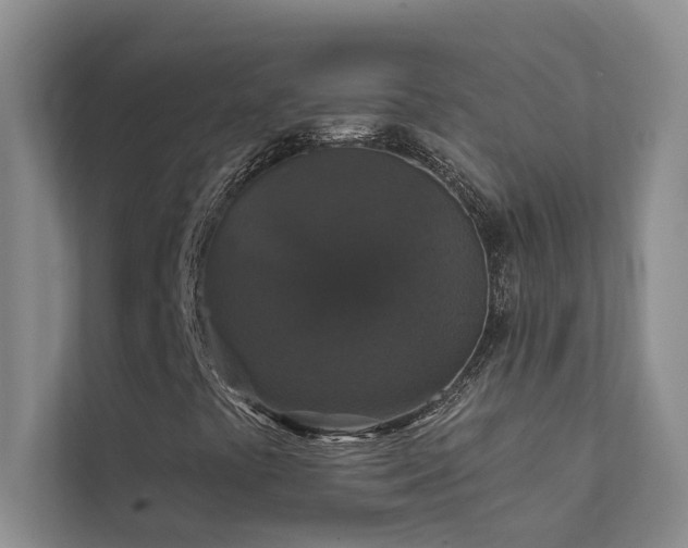 X0000111581441200907161415