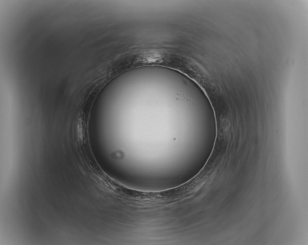 X0000111581442200907161415