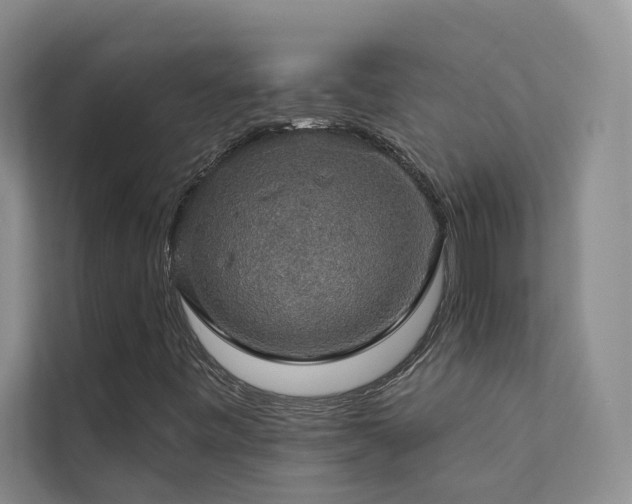X0000111581443200907161415