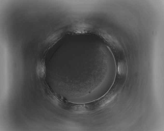 X0000111581444200907161415