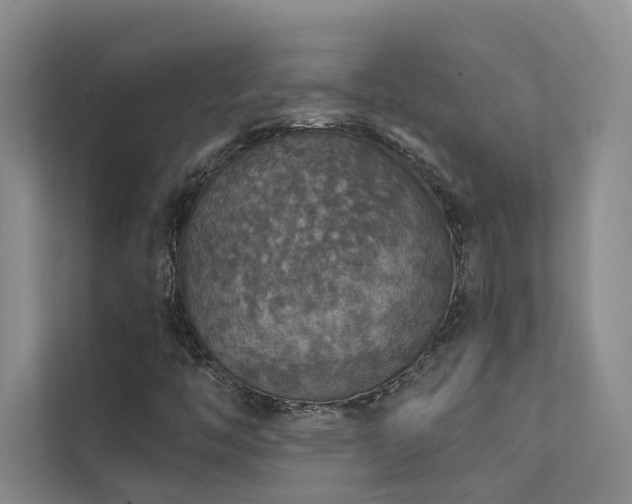 X0000111581446200907161415
