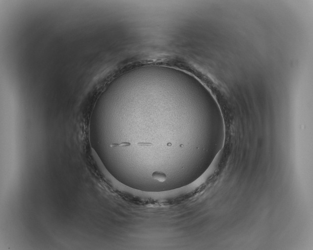 X0000111581447200907161415