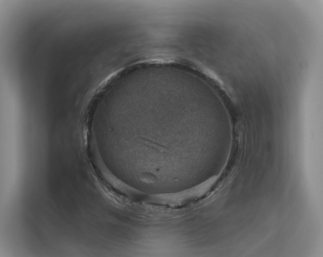 X0000111581448200907161415
