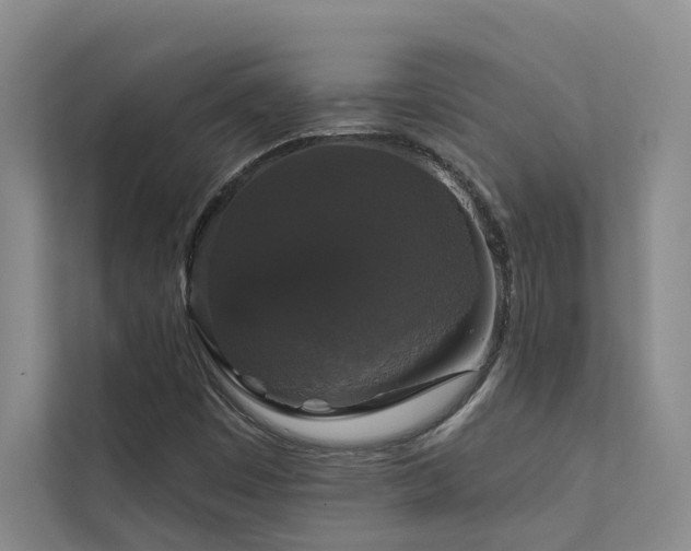 X0000111581449200907161415