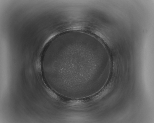 X0000111581450200907161415