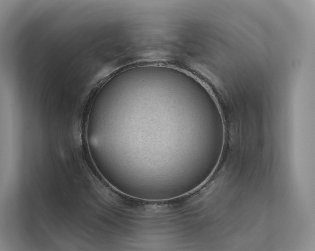 X0000111581451200907161415