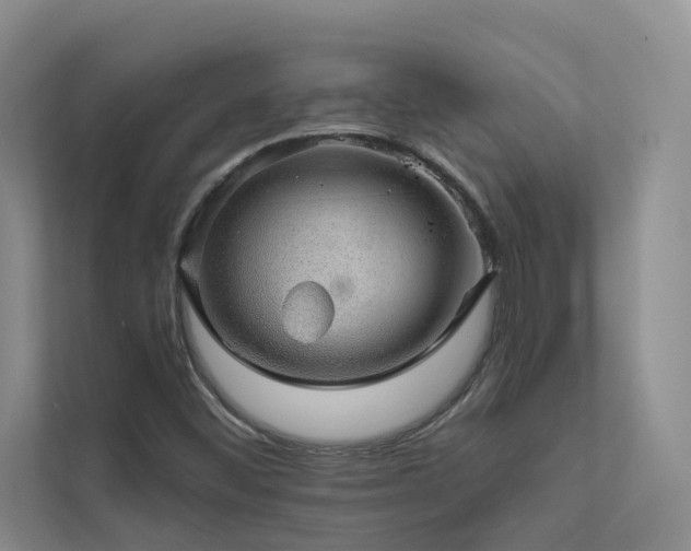 X0000111581452200907161415