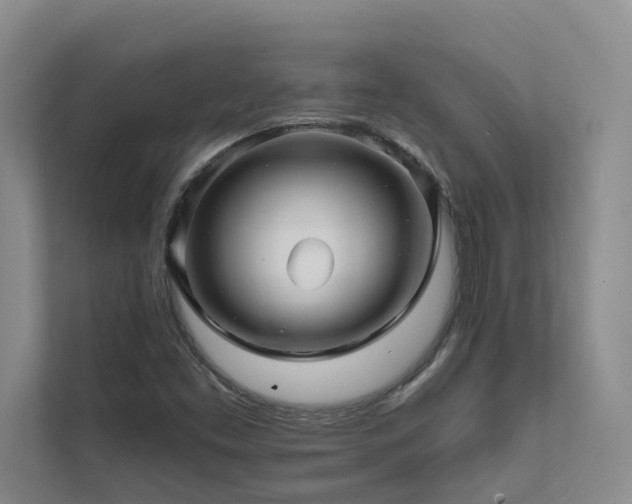 X0000111581453200907161415
