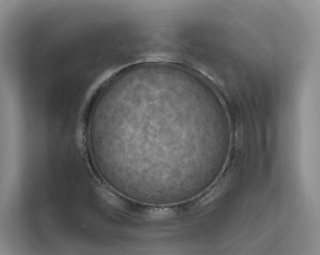 X0000111581454200907161415
