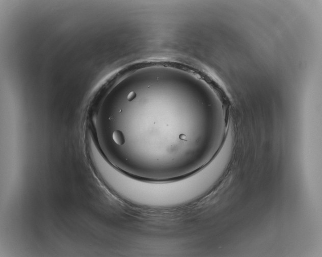 X0000111581456200907161415
