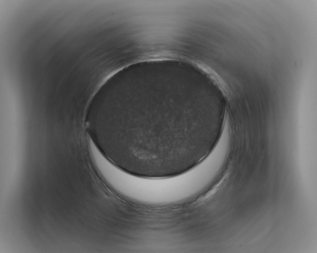 X0000111581457200907161415