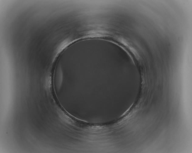 X0000111581459200907161415