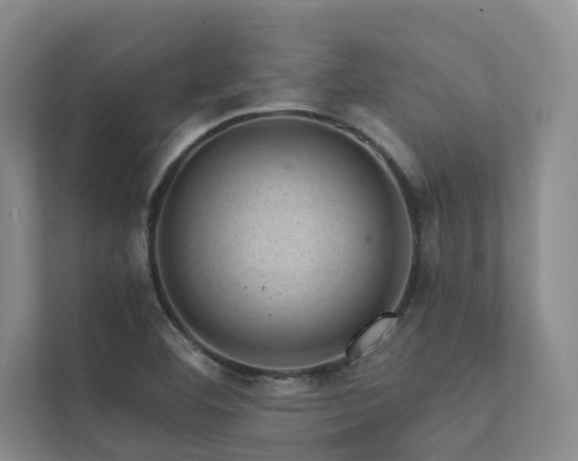 X0000111581460200907161415