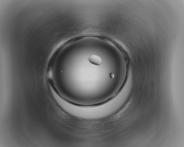 X0000111581461200907161415