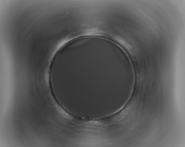 X0000111581463200907161415