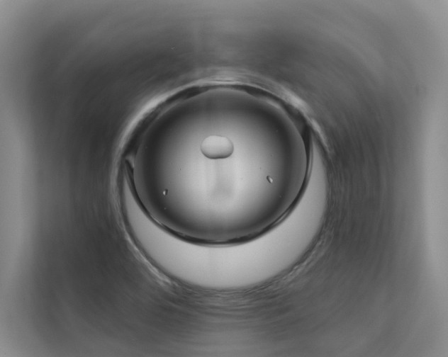 X0000111581464200907161415