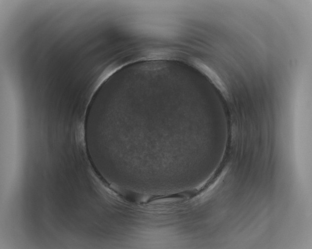 X0000111581465200907161415