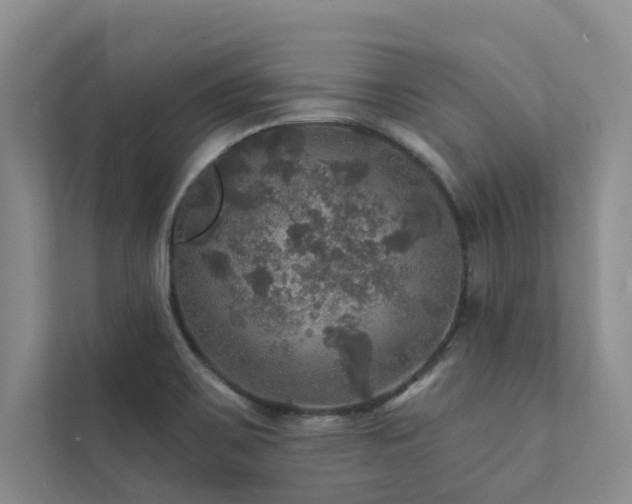 X0000111581467200907161415