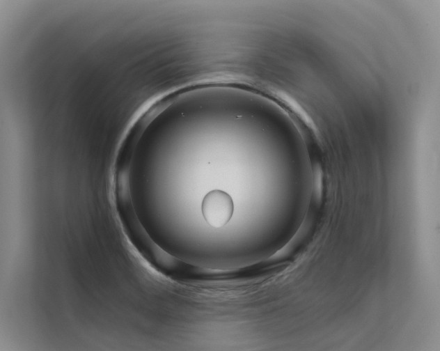 X0000111581468200907161415