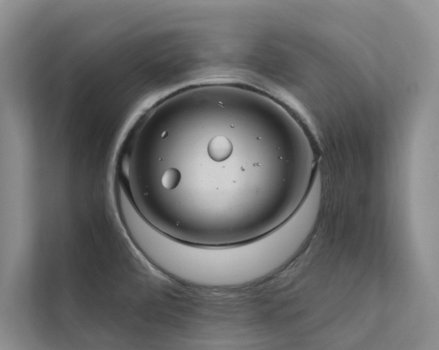 X0000111581472200907161415
