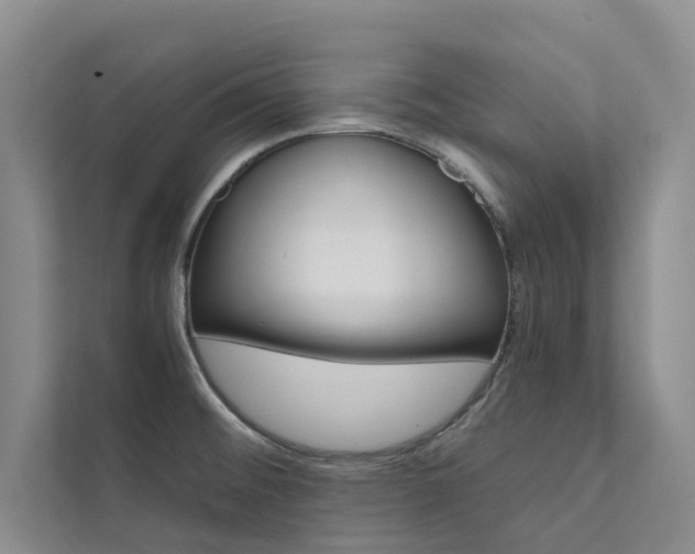 X0000111581476200907161415