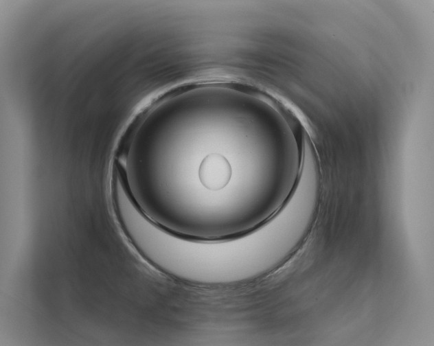 X0000111581477200907161415