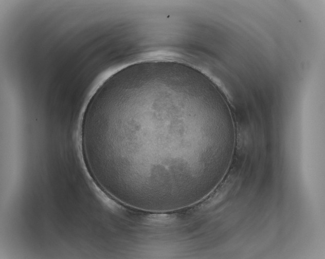 X0000111581478200907161415