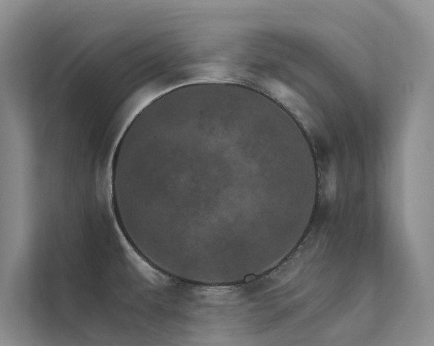 X0000111581479200907161415