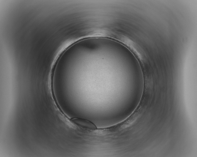 X0000111581480200907161415