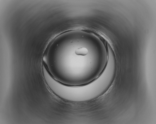 X0000111581481200907161415