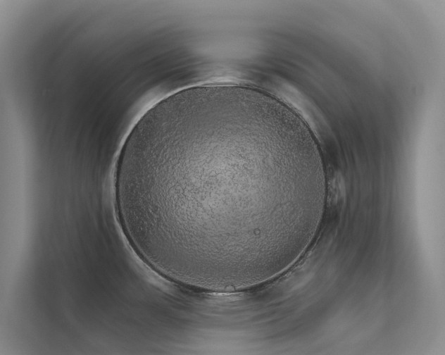 X0000111581483200907161415