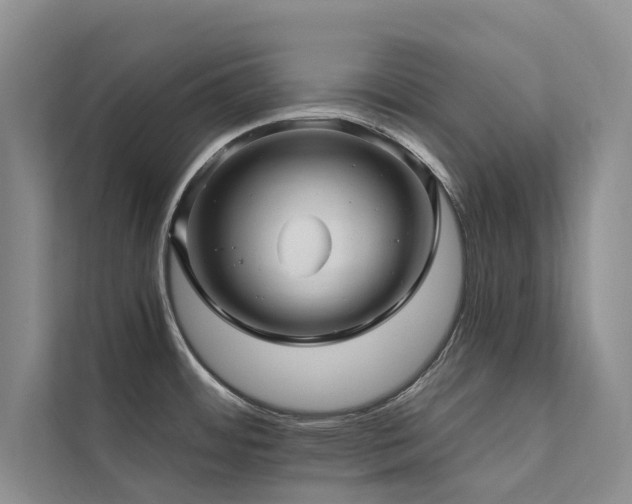 X0000111581484200907161415