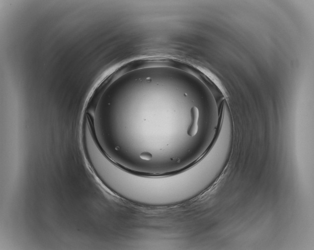 X0000111581485200907161415