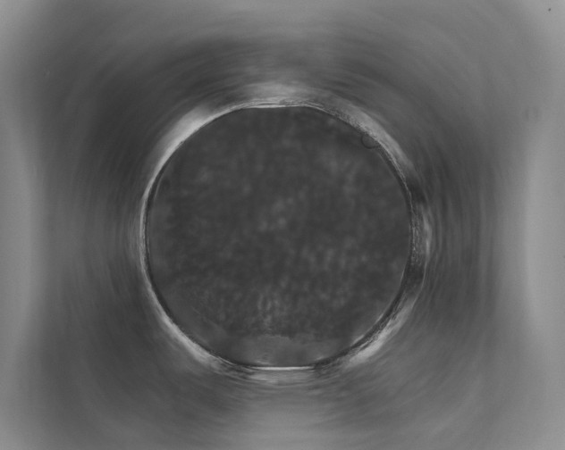 X0000111581487200907161415