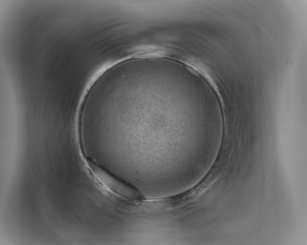 X0000111581488200907161415