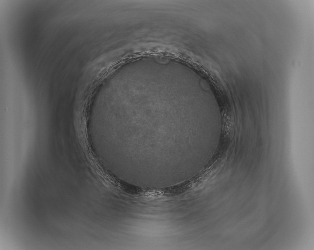 X0000111581489200907161414