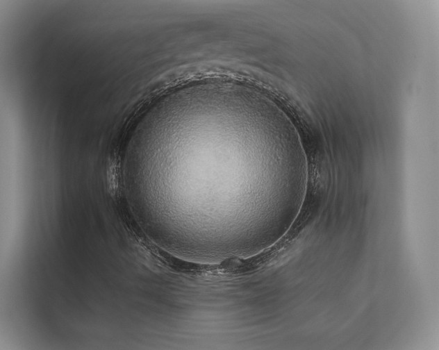 X0000111581490200907161414
