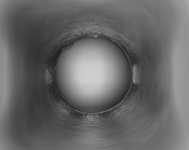 X0000111581491200907161414