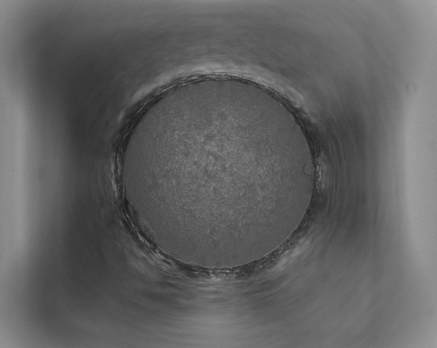 X0000111581494200907161414
