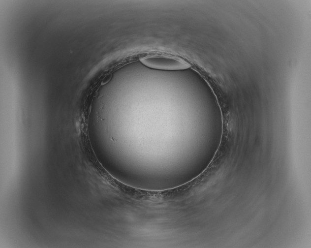 X0000111581495200907161414