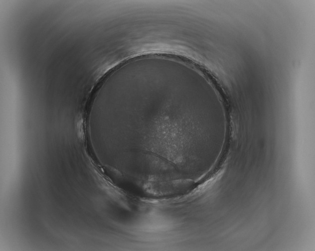 X0000111581497200907161414
