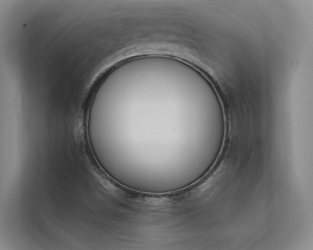 X0000111581498200907161414