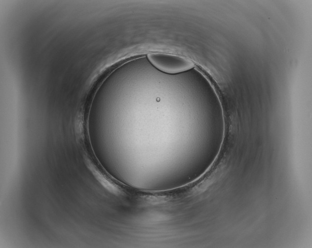X0000111581499200907161414