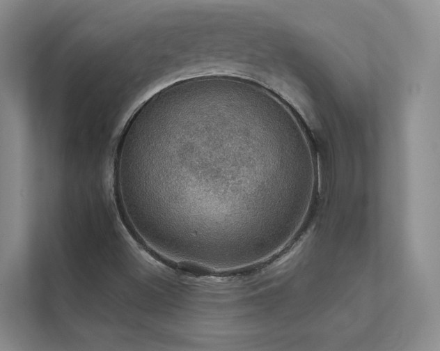 X0000111581500200907161414
