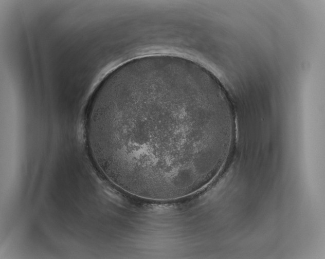 X0000111581501200907161414