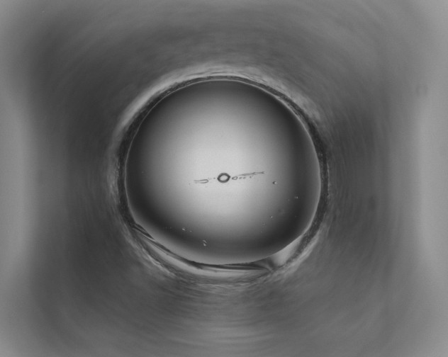 X0000111581502200907161414