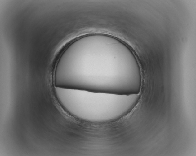 X0000111581503200907161414