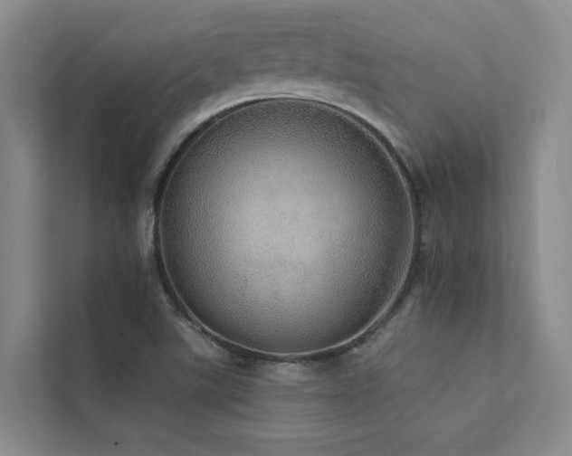 X0000111581507200907161414