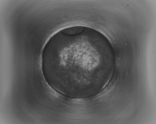 X0000111581508200907161414