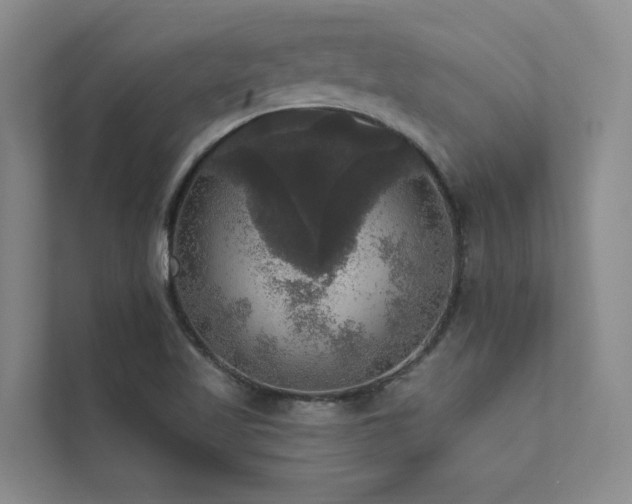 X0000111581509200907161414